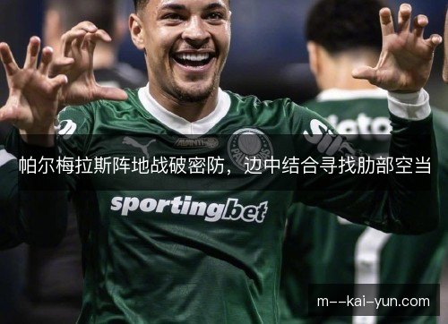 帕尔梅拉斯阵地战破密防，边中结合寻找肋部空当